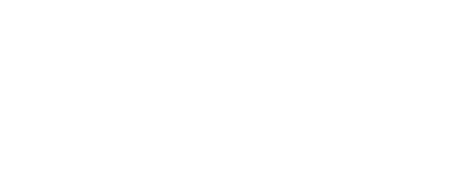 Full Car Service